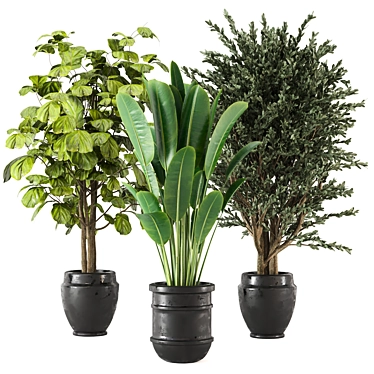Set 203: Green Oasis - Indoor Plants 3D model image 1 