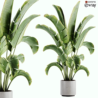 15-Piece Indoor Plant Set: V-Ray/Corona, 46,209 Polys, 2015 Version 3D model image 1 
