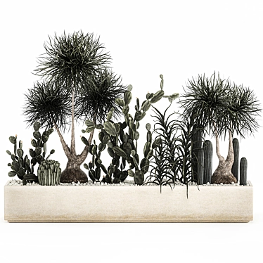 Tropical Plant Collection with Cacti & Aloe 3D model image 1 