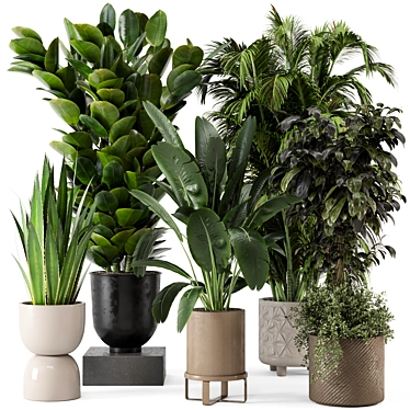 Ferm Living Bau Pot Large Set: Stylish Indoor Plants 3D model image 1 