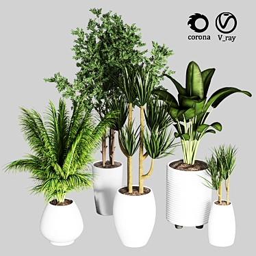Indoor Plant Collection: 27 Varieties 3D model image 1 