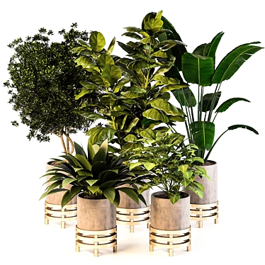 Nature's Oasis: Indoor Plant Set 3D model image 1 