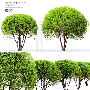 Ethereal Elegance: Graceful Sphere Shaped Trees 3D model image 1 