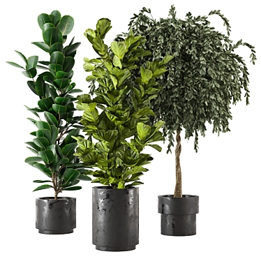  3D Indoor Plants Collection - Set 206 3D model image 1 