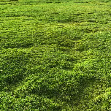 Scattered Grass Patterns 3D model image 1 