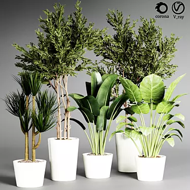  Indoor Plant Collection - 32 Varieties 3D model image 1 