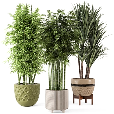 Elegant Indoor Planters - Set 448 3D model image 1 
