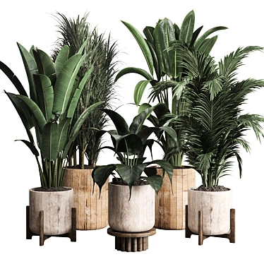 Lush Greenery: 174-Pot Indoor Plant Collection 3D model image 1 