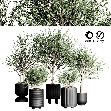 Indoor Plant Collection 34 3D model image 1 