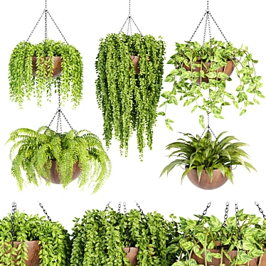 Hanging Plant Collection: Stylish PBR Creations 3D model image 1 