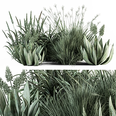 Aloevera Mixed Plant Set 3D model image 1 