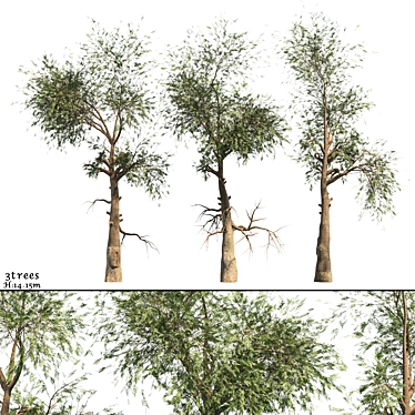 Variety Vol. 3: Three Unique Trees 3D model image 1 