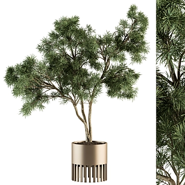 Golden Tree Indoor Plant Set 3D model image 1 