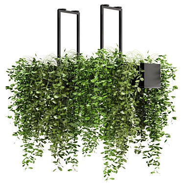 Metal Box Indoor Hanging Plants - Set 214 3D model image 1 