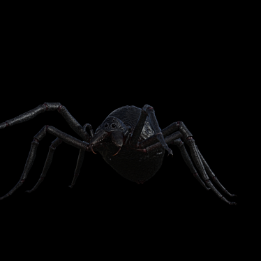 Title: Textured Spider with Skeleton 3D model image 1 