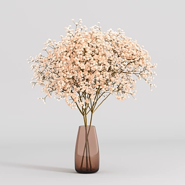 Elegant Perennial Gypsophila - Timeless Beauty 3D model image 1 