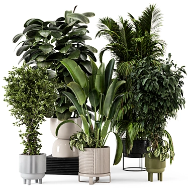 Green Oasis: Ferm Living Bau Pot Large Set 3D model image 1 