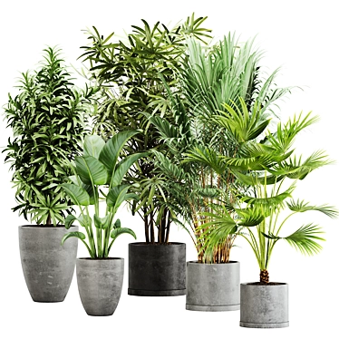  Lush Green Indoor Plant Set 3D model image 1 