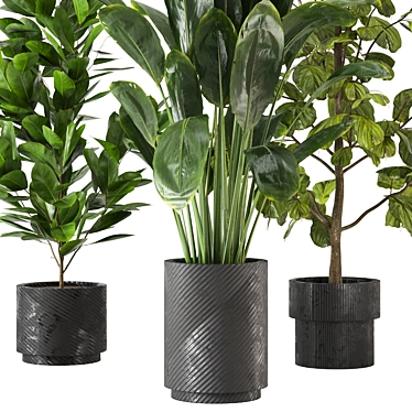 Indoor Jungle: 3D Plants Collection 3D model image 1 