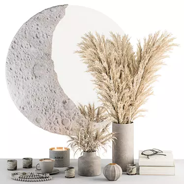 Moon Mirror Set with Dried Plant 3D model image 1 
