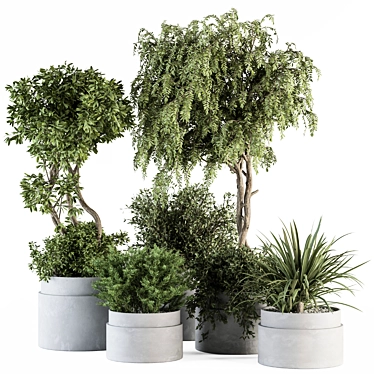 Gray Pot Indoor Plant Set 3D model image 1 