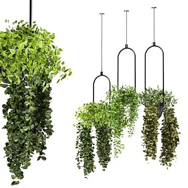 Lush Indoor Hanging Plant Set 3D model image 1 