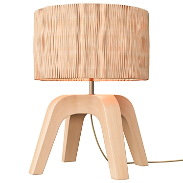 Modern Sander Wicker Table Lamp 3D model image 1 