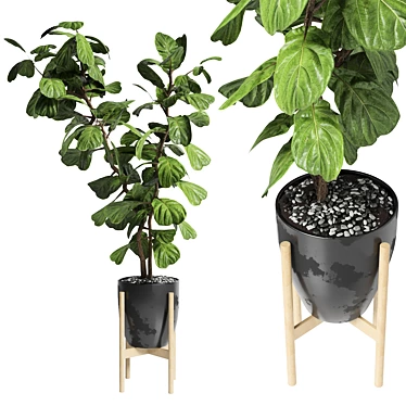Ficus Lyrata Metal Dirt Vase 3D model image 1 