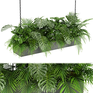 Indoor Jungle: Monstera & Palm Collection 3D model image 1 