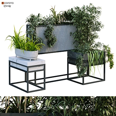 Elevate your space with Boxed Interior Plant Set 3D model image 1 