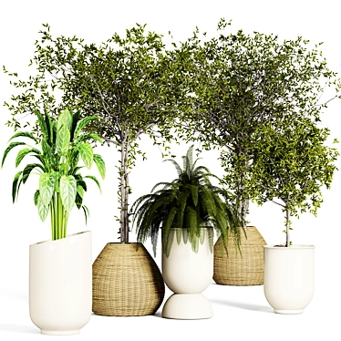 Urban Jungle Indoor Plant Collection 3D model image 1 