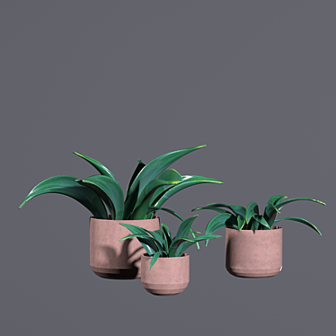 Garden Harmony: Clay Pot Planters 3D model image 1 