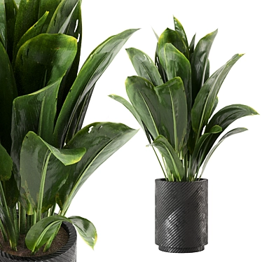 Decorative Indoor Plants Set 227 3D model image 1 