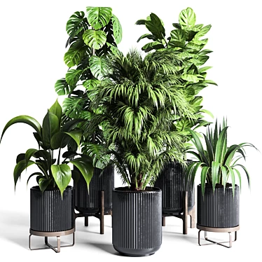 183 Plant Collection: Ficus Lyrata, Monstera, Palm - Perfect Indoor Greenery 3D model image 1 