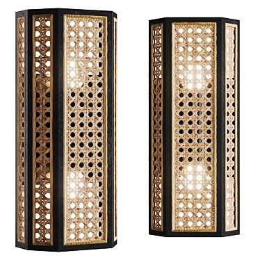Woven Cane Wall Sconce: GEORGIA 3D model image 1 
