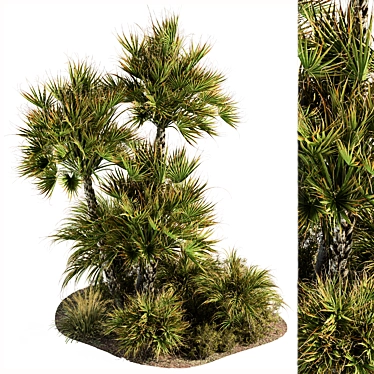 Tropical Oasis - Outdoor Plant Set 3D model image 1 