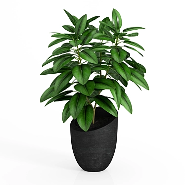 Black Pot Plant: Stylish and Low Maintenance 3D model image 1 