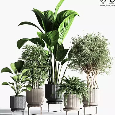 Title: Gorgeous 24-Piece Indoor Plant Set 3D model image 1 