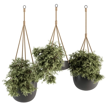 Hanging Plant Set with Rope 3D model image 1 