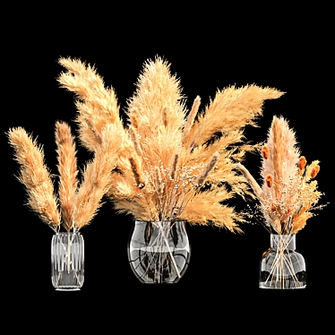 Pampas Dry Plants Bouquet in Glass Vase 3D model image 1 