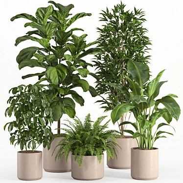 Lush Indoor Plant Set 016 3D model image 1 