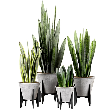 Botanical Bliss: Indoor Houseplants Set 3D model image 1 