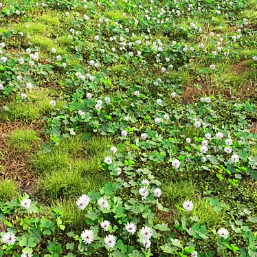 Meadow Bliss: Clover Plants 3D model image 1 