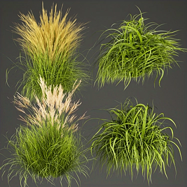 Grass Collection - High-Quality Outdoor Leaf Models 3D model image 1 