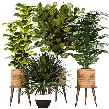Versatile Indoor Plant Set: 4 Stunning Models 3D model image 1 