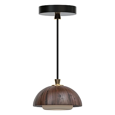 Elegant Designer Pendant Light 3D model image 1 