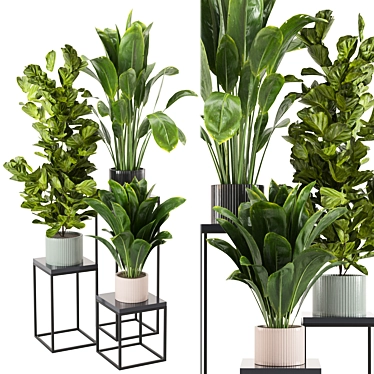 Botanical Bliss: Indoor Plant Collection 3D model image 1 