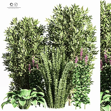  2015 Bush Landscape Set - 6 Model Parts 3D model image 1 