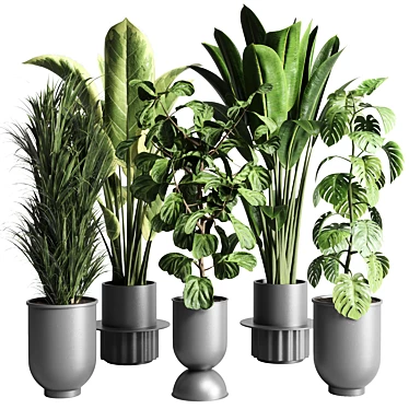 Urban Jungle: Palm, Ficus, & Monstera in Concrete Vase 3D model image 1 
