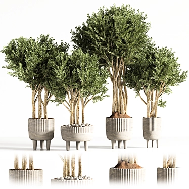Modern Indoor Plant Decor 3D model image 1 